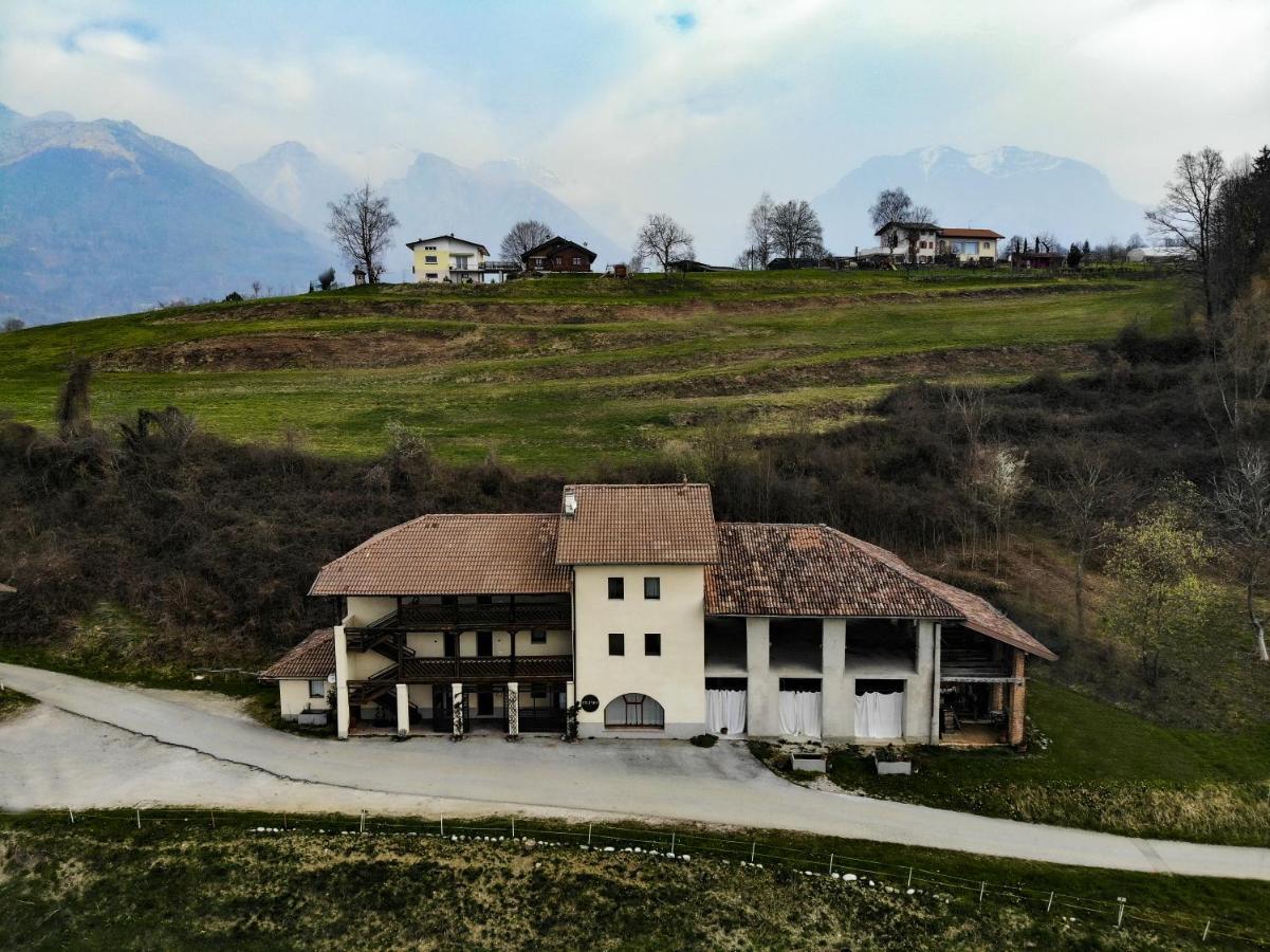 Appartamento Immerso Nella Natura Con Parcheggio - Narciso Sois Dış mekan fotoğraf